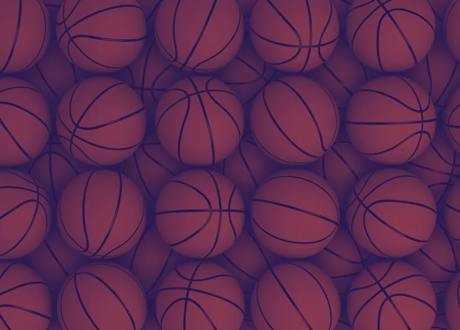 Basketbol branşı