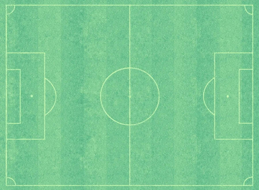 Futbol branşı