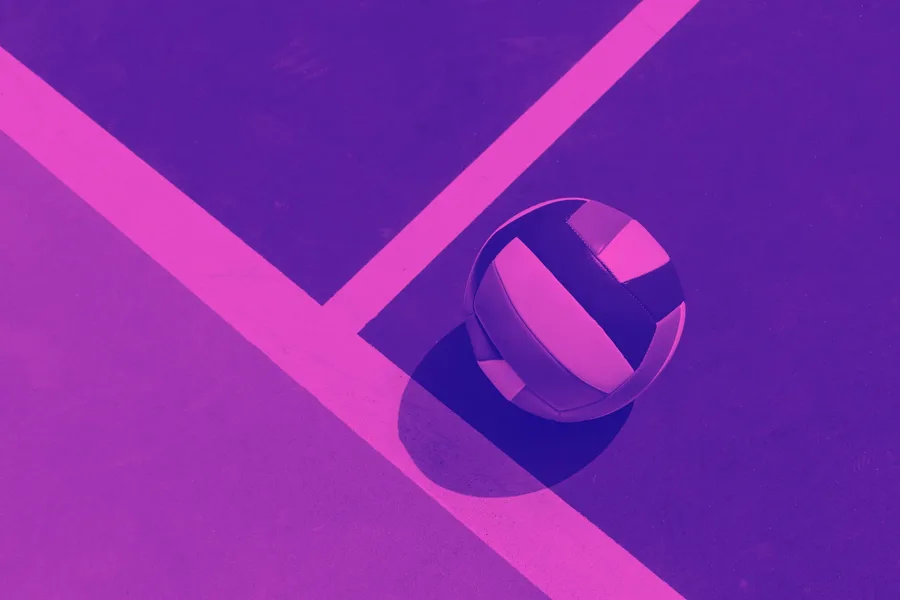 Voleybol branşı